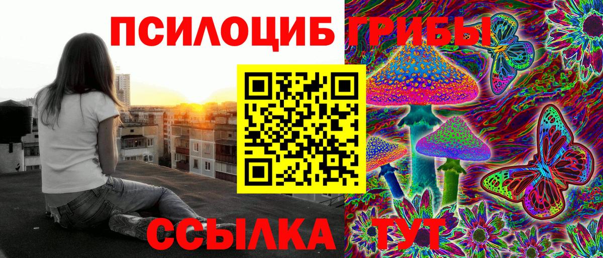 Псилоцибиновые грибы мухоморы Борисоглебск