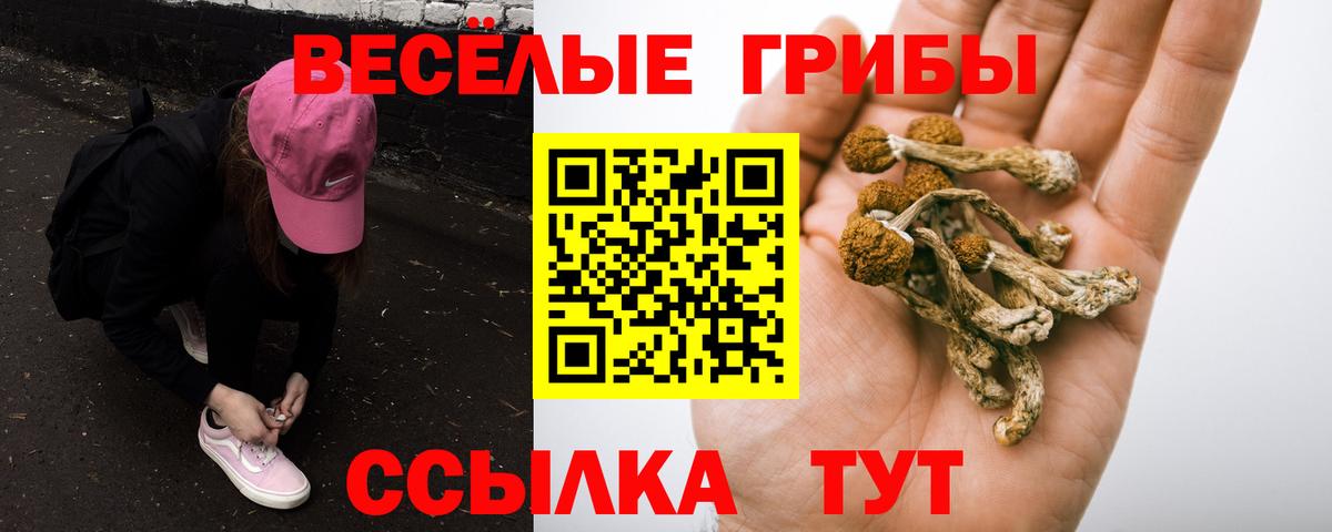 Псилоцибиновые грибы Psilocybine cubensis  Вход с VPN  Борисоглебск 